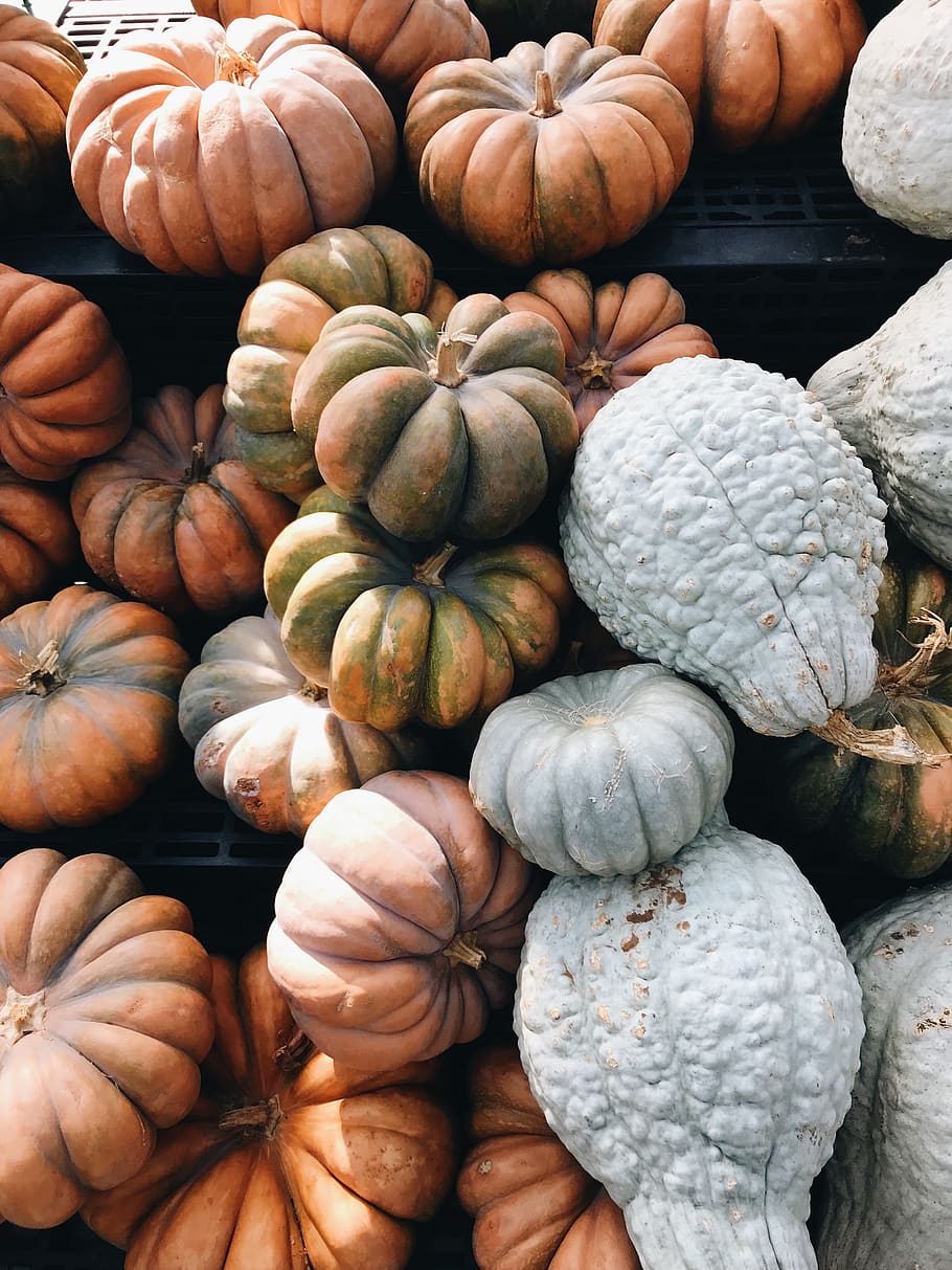 orange pumpkin lot, plant, vegetable, food, squash, produce, fungus HD wallpaper