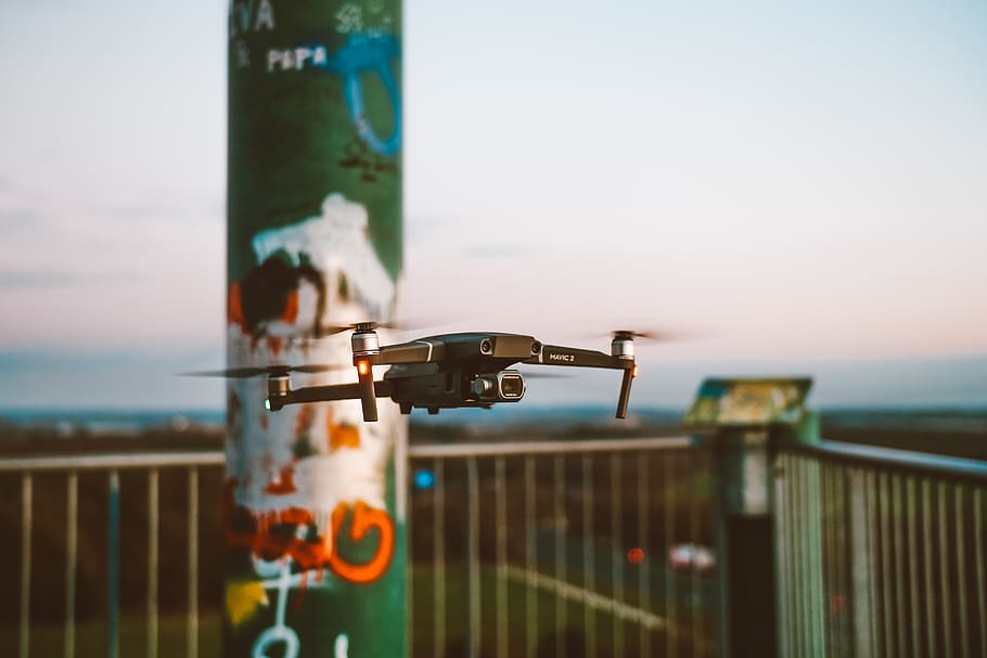 black quadcopter, animal, bird, transportation, vehicle, aircraft HD wallpaper