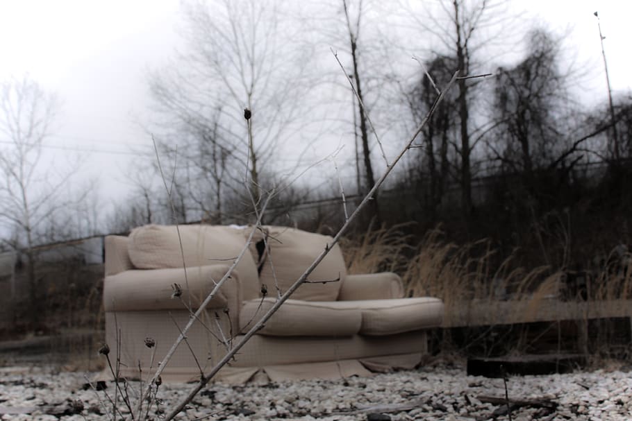 couch, abandonded, sephia, despolation, tree, winter, plant, HD wallpaper