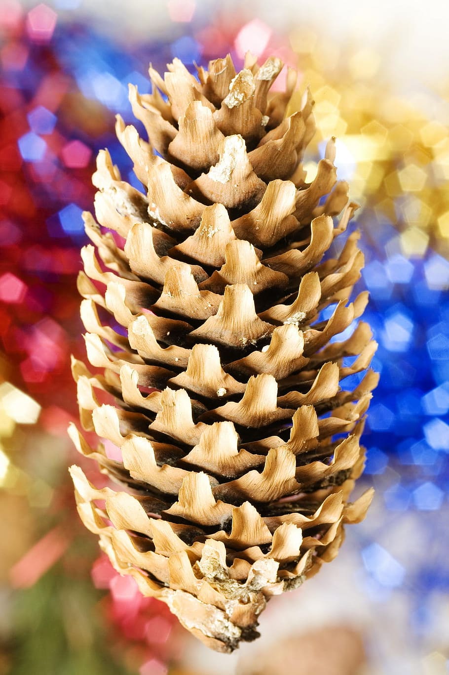 background, celebration, christmas, decor, decoration, holiday HD wallpaper
