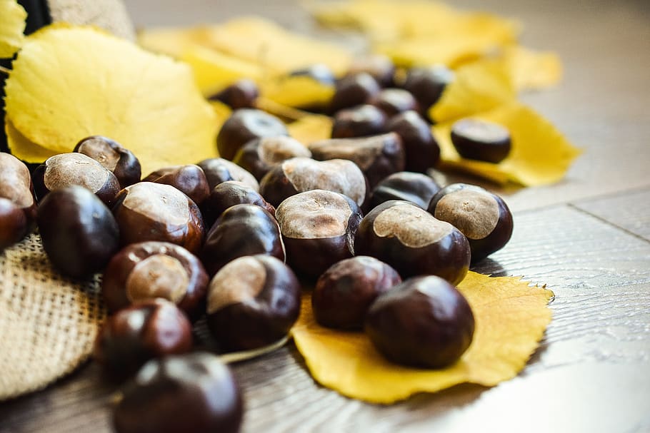 autumn, leaf, october, gold, bright, food and drink, freshness HD wallpaper