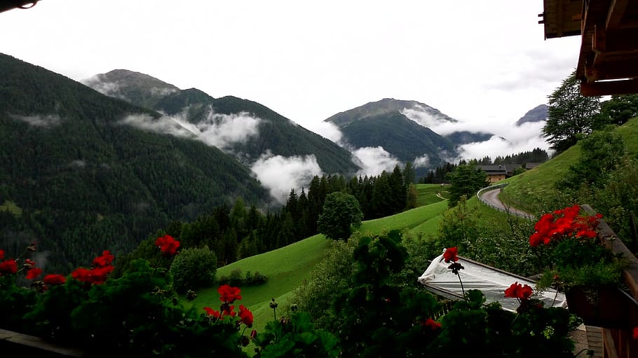 italy, mountain, clouds, alps, trees, beauty in nature, scenics - nature HD wallpaper