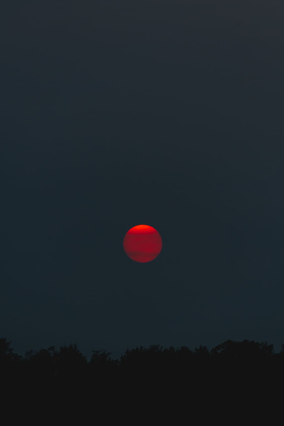 red moon at night, dusk, dark, sunset, glow, orange, trees, nature HD wallpaper