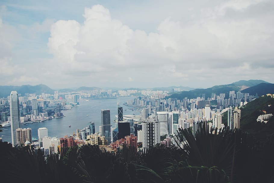 aerial photo of city beside body of water, skyline, skyscraper HD wallpaper