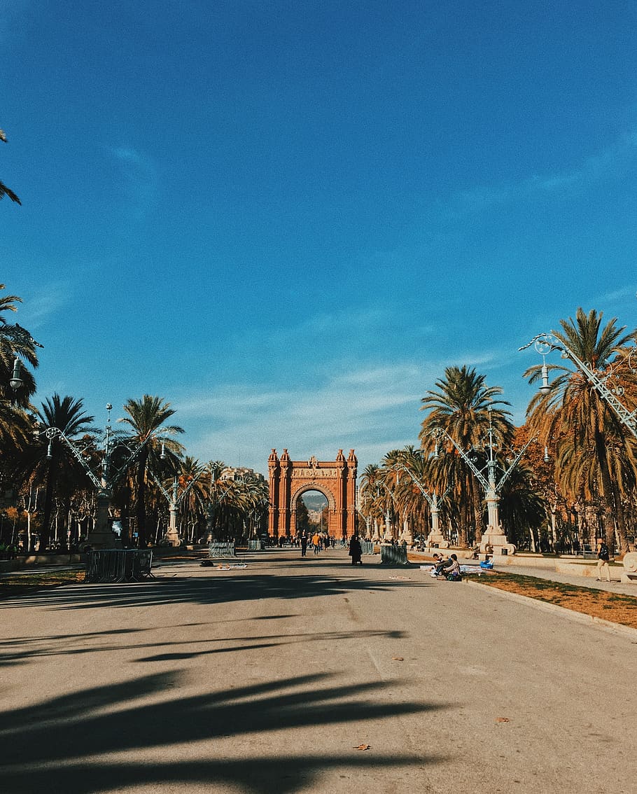 spain, barcelona, palms, vacation, travel, traveling, holiday