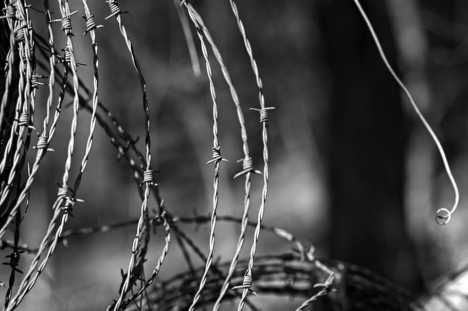 wire, barb, fence, security, metal, rust, boundary, barrier HD wallpaper