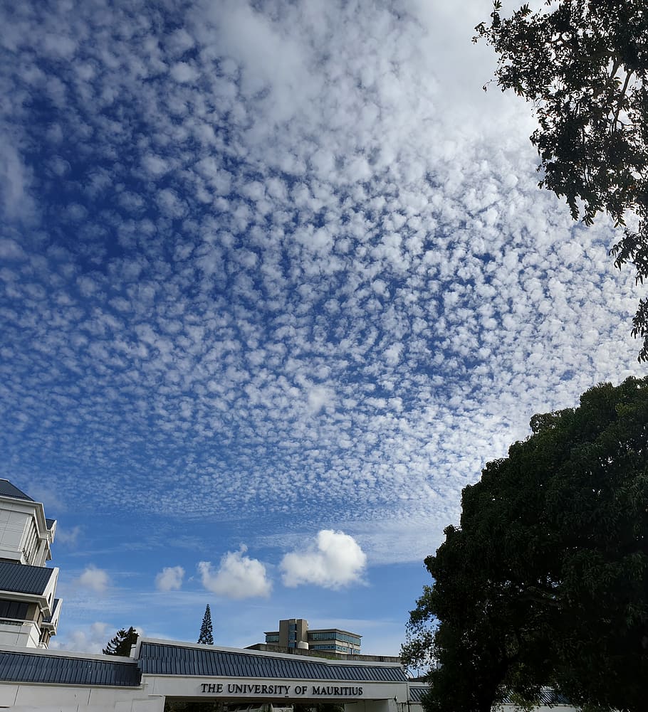 cloudy, sky, nature, university, building, cloud - sky, built structure HD wallpaper