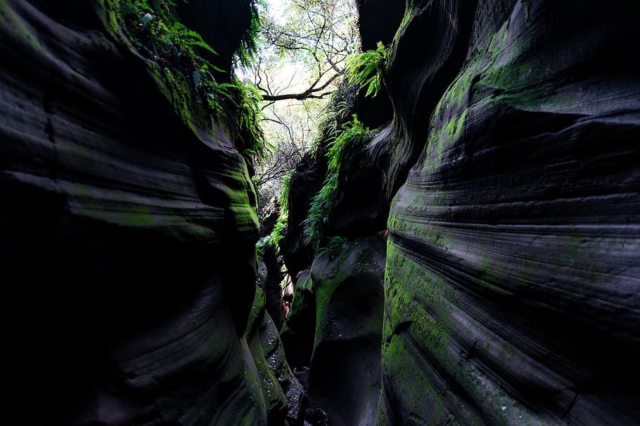 mountain cliff, nature, cave, ornament, fractal, land, jungle HD wallpaper
