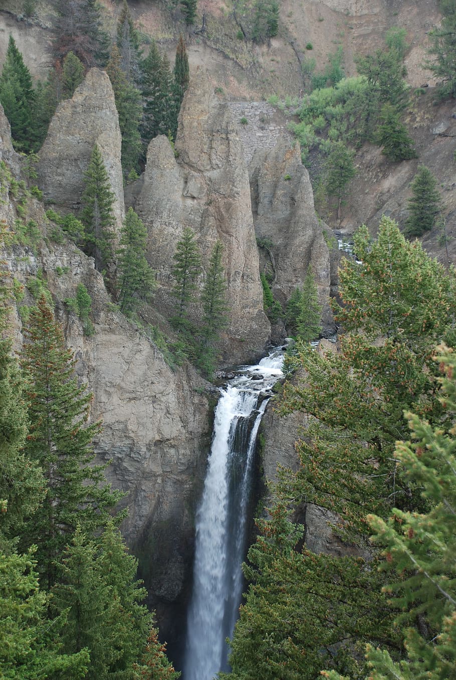 waterfalls on mountain, nature, outdoors, tree, plant, fir, abies HD wallpaper