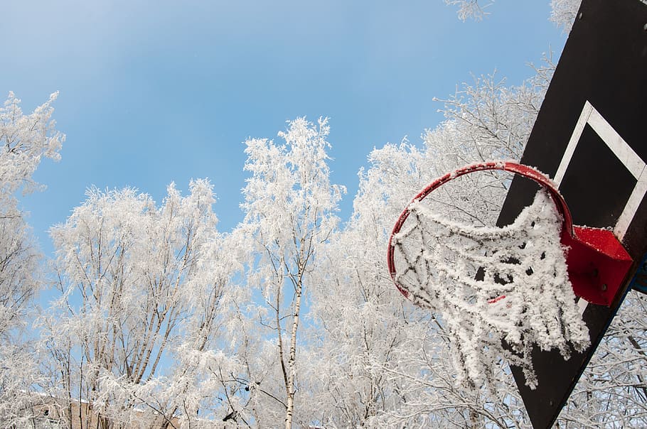 winter, snow, coldly, leann, ice, ring, basketball, frost, trees HD wallpaper