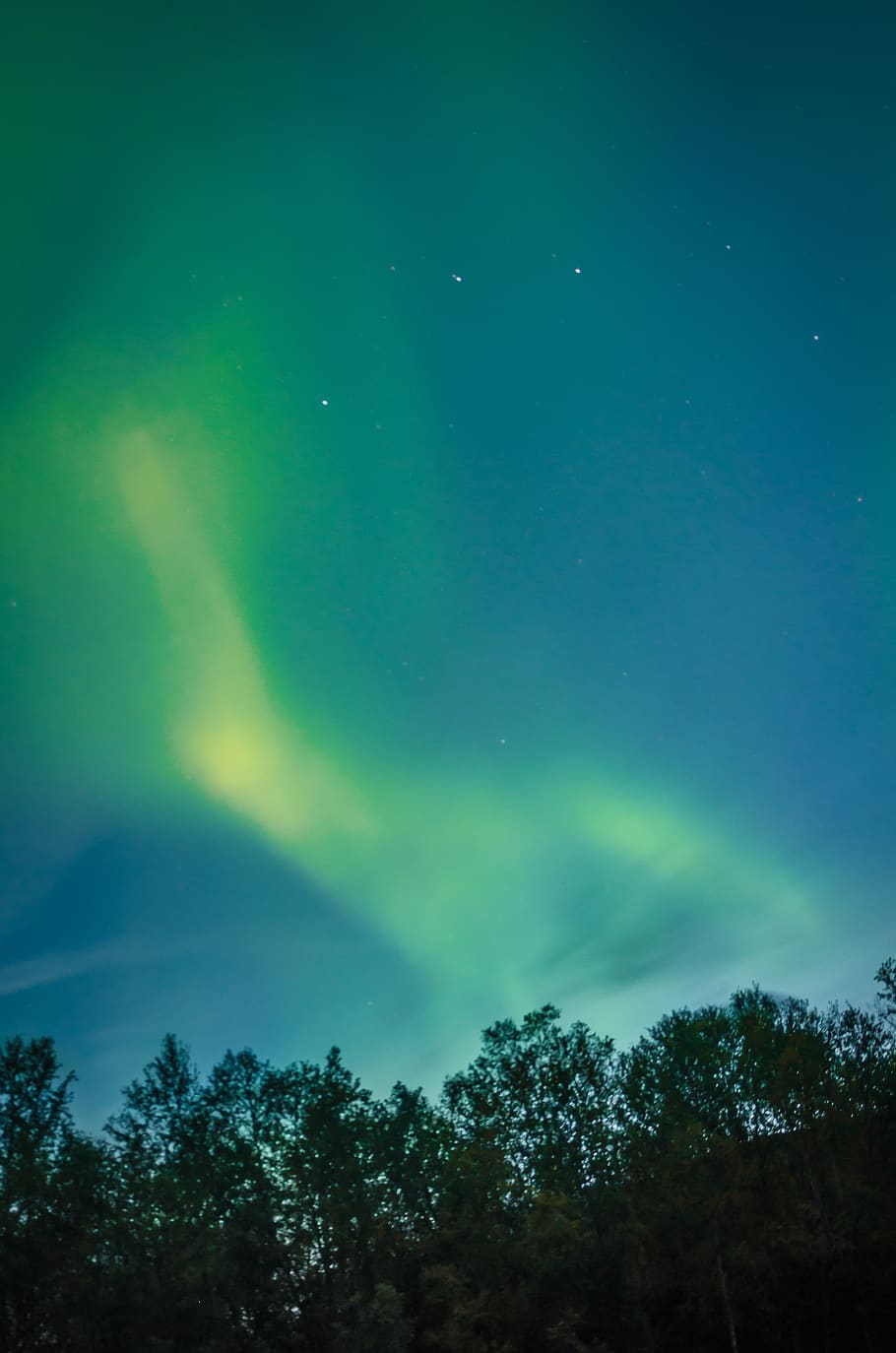 sweden, abisko, sky, tree, trees, polarlights, aurora, hiking, HD wallpaper