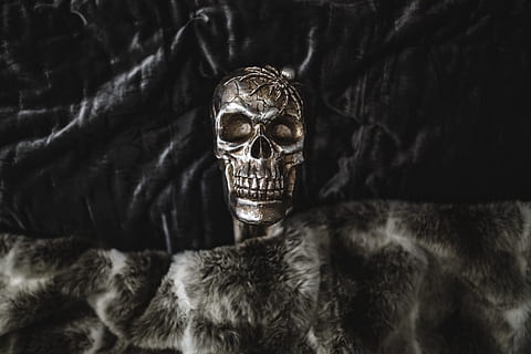Halloween Skulls Decorations, autumn, fall, spooky, scary, human skeleton HD wallpaper