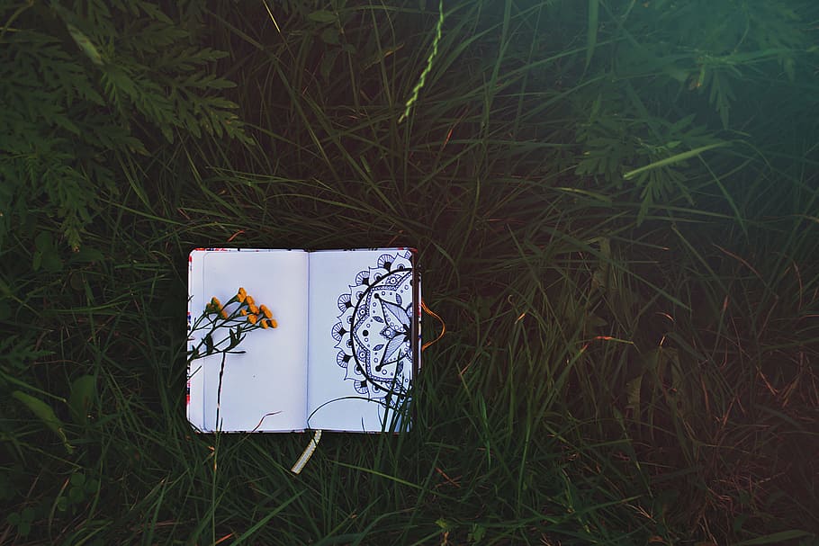 open book on grass, notebook, mandala, ink, sketch, drawing, nature, HD wallpaper