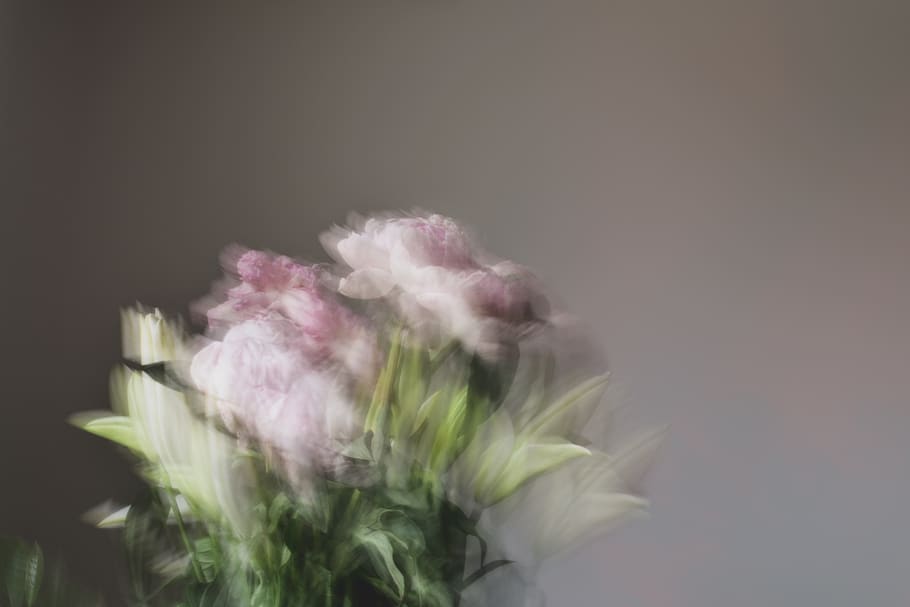 white and pink flower, plant, blossom, flower arrangement, flower bouquet HD wallpaper