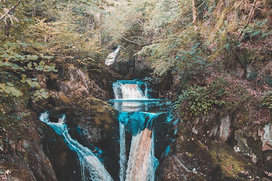 united kingdom, ingleton, ingleton waterfalls trail, tree, plant HD wallpaper