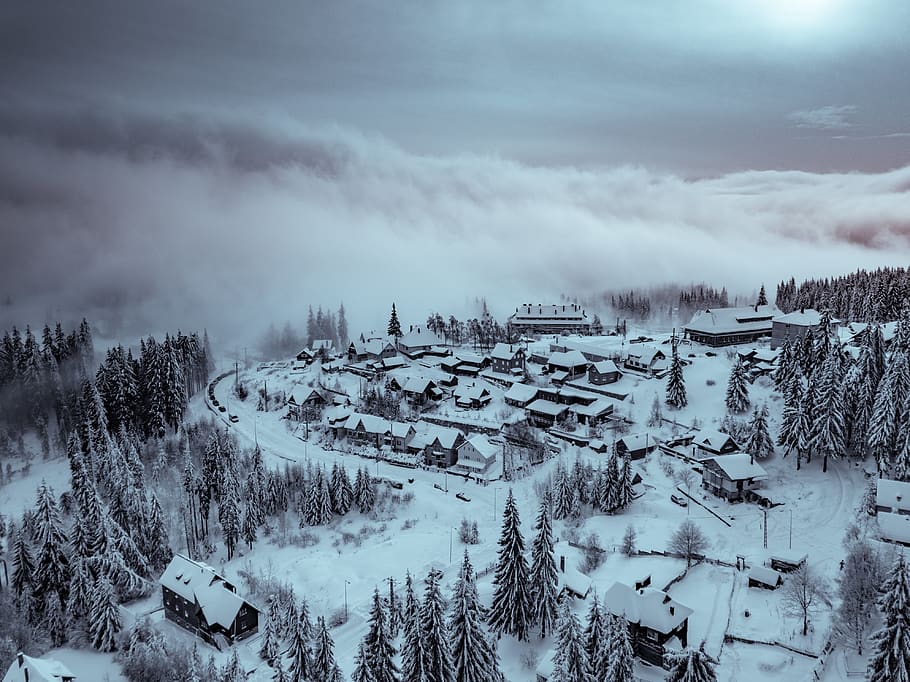 rural covered with snow, cold temperature, winter, scenics - nature HD wallpaper