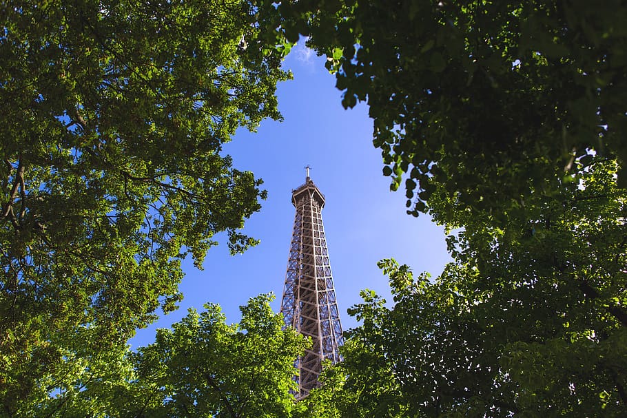 architecture, tower, building, plant, tree, monument, spire HD wallpaper