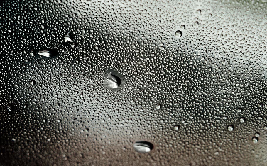 sweden, rain, macro, sharp, small, big, water, rain drop, wet HD wallpaper