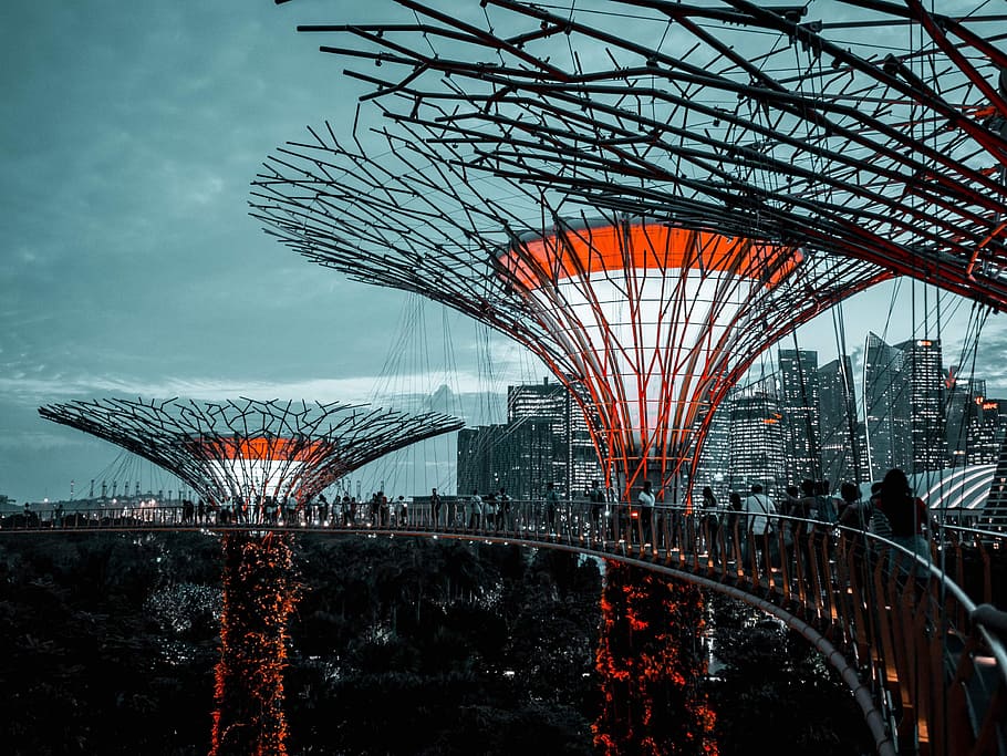 people walking on Garden by the Bay, building, super tree, modern HD wallpaper