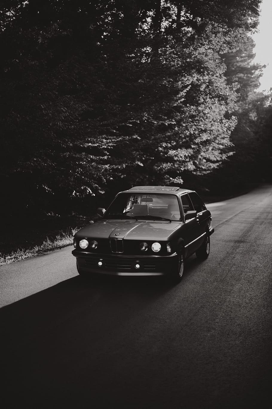 grayscale photo of BMW coupe near black trees, car, road, classic car, HD wallpaper
