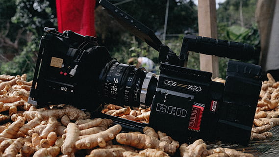 black DSLR camera, electronics, camera lens, digital camera, person HD wallpaper