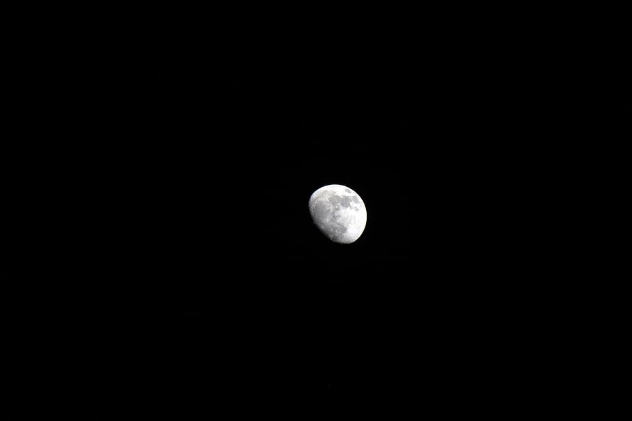 moon, month, sky, night, fullmoon, moonlight, astronomy, universe HD wallpaper