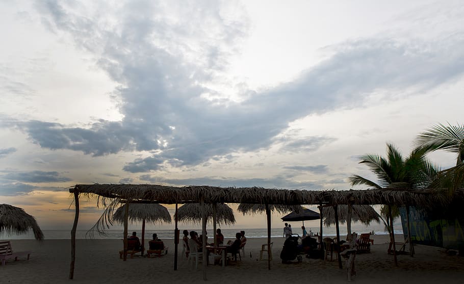 mexico, punta zicatela, sky, beach, cloud - sky, palm tree HD wallpaper