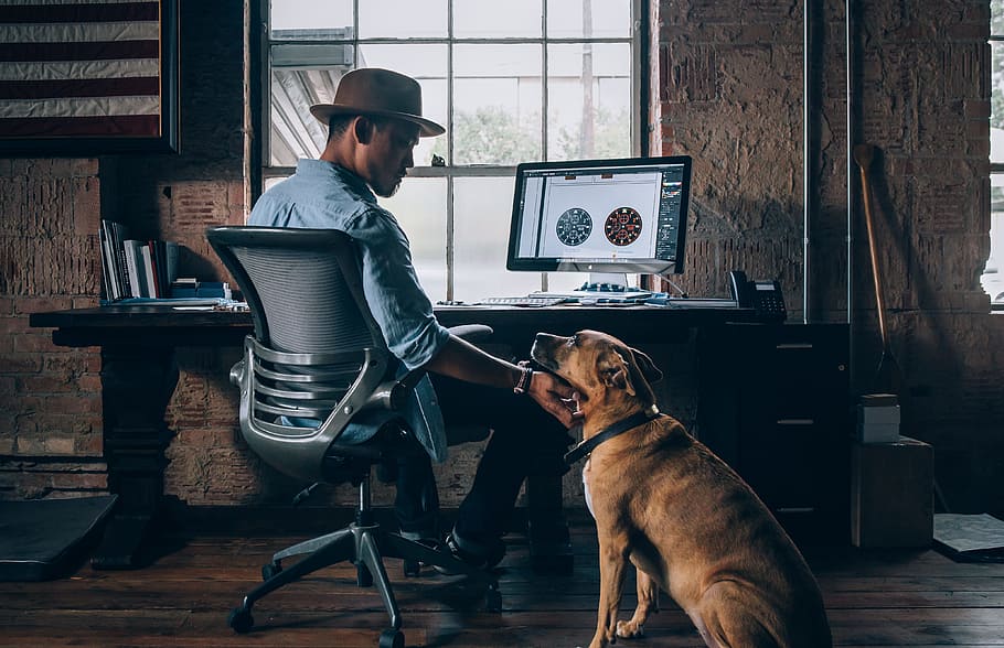 man sitting on rolling chair holding dog, office, daylight, imac, HD wallpaper