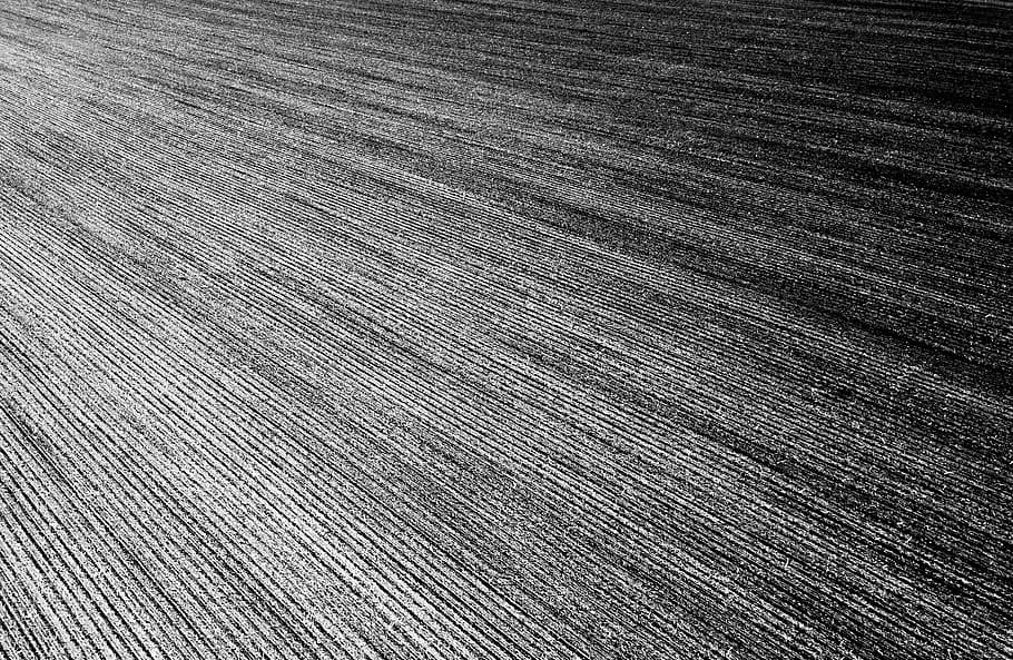 germany, saxony, backgrounds, full frame, pattern, textured HD wallpaper