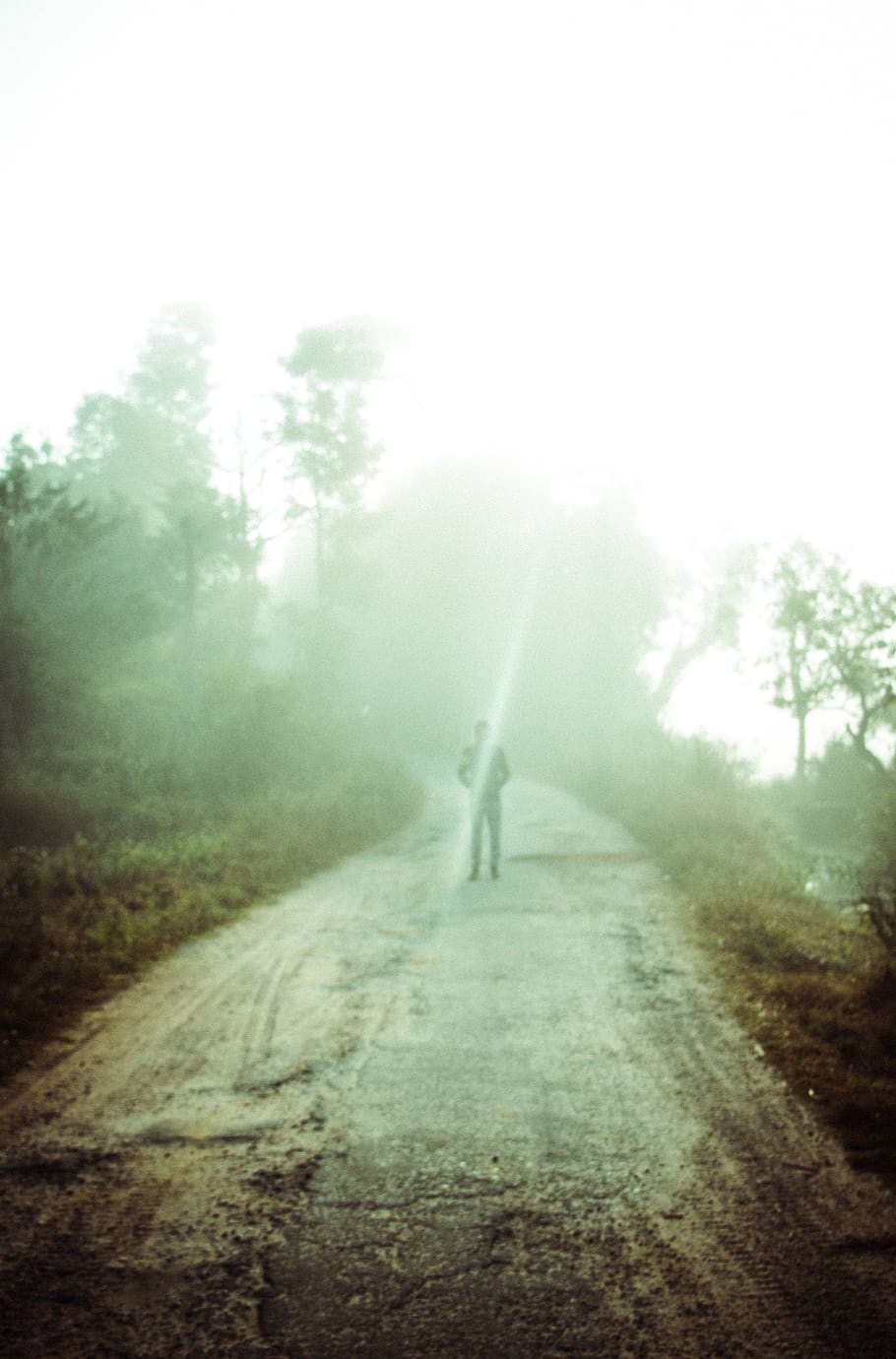 person walking on footpath, nature, weather, human, outdoors HD wallpaper