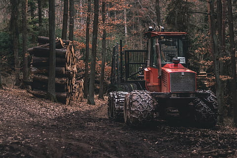 red tractor parked under brown trees, vehicle, transportation HD wallpaper