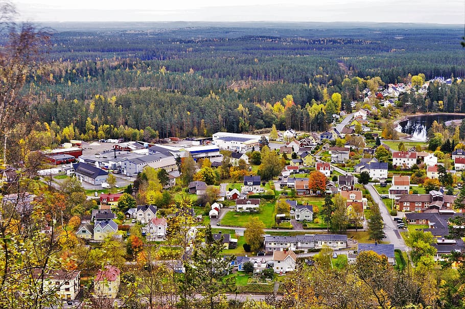 sweden, forest, trees, small town, fall, autumn, plant, building exterior HD wallpaper