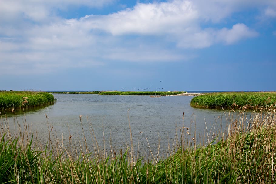 sea, sky, clouds, landscape, bird sanctuary, scenic, nature HD wallpaper