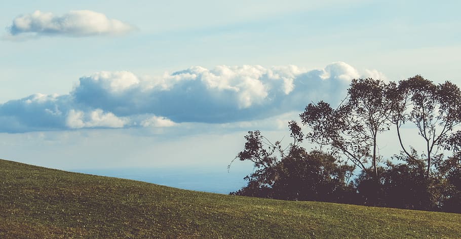 brazil, pico hawk, nature, mountain, clouds, fores, trees, sky