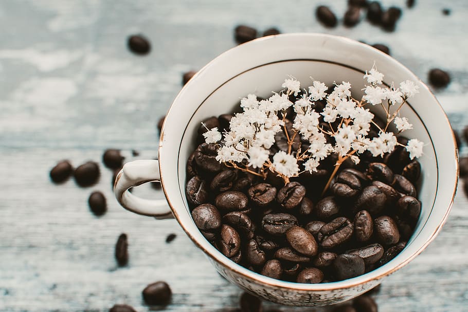 Coffee Beans in Mug With White Flowers on Focus Photo, brown HD wallpaper