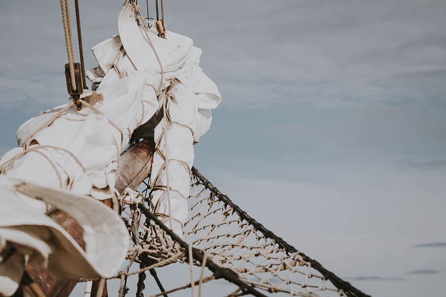 gray rope mesh hammock, bird, animal, plastic bag, waterfowl HD wallpaper