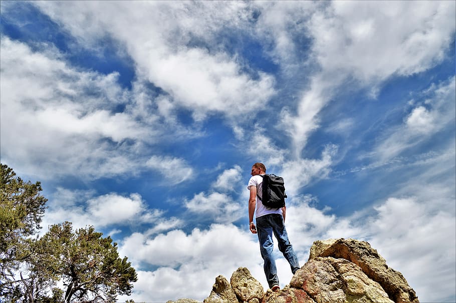 hiking, trees, view, sky, conquer, cloud - sky, one person HD wallpaper