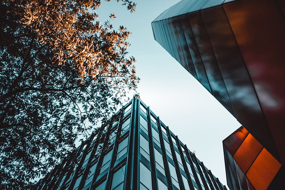 Low Angle Photo Of Building Near Tree, architecture, low angle shot HD wallpaper