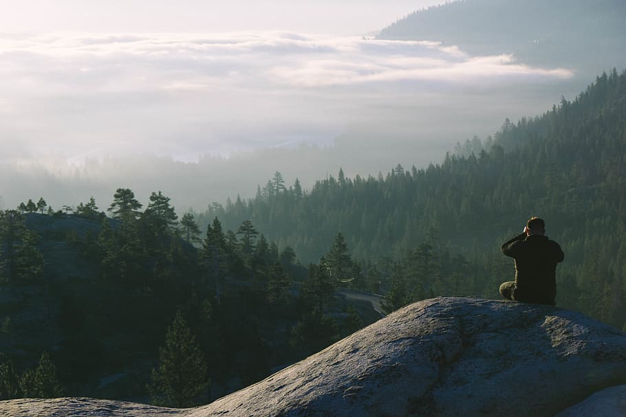 trees, lake, water, forest, donner, fog, mountain, one person HD wallpaper