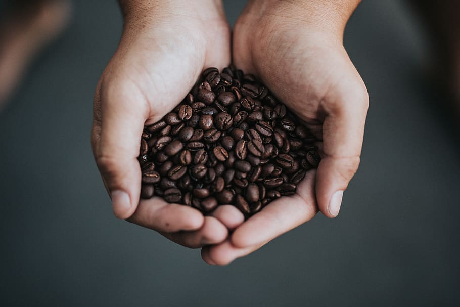 coffee beans on person's hands, human, plant, vegetable, food, HD wallpaper