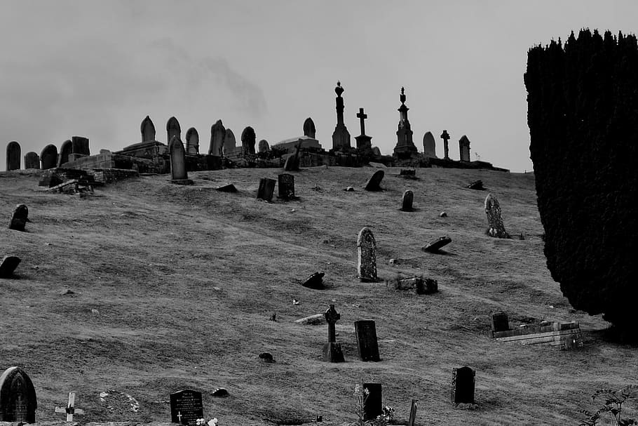 people, group, graveyard, history, the past, architecture, ancient HD wallpaper