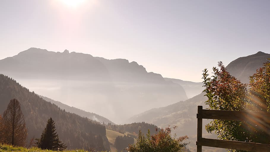 france, tree, forest, mountain, nature, wallpaper, landscape HD wallpaper