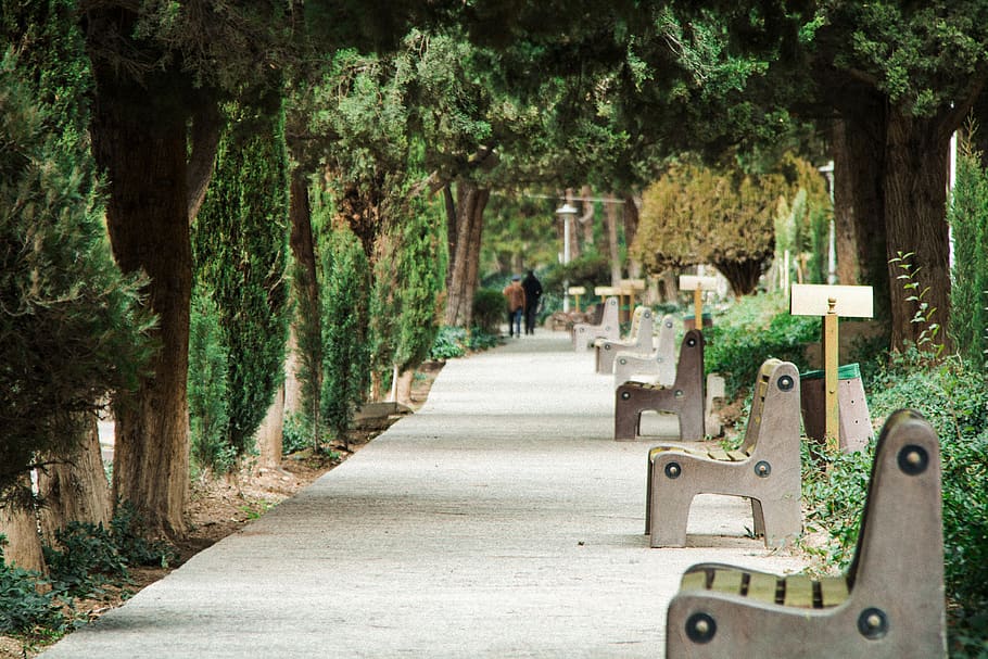 Gray Bench on Park, benches, environment, flower, grass, landscape HD wallpaper