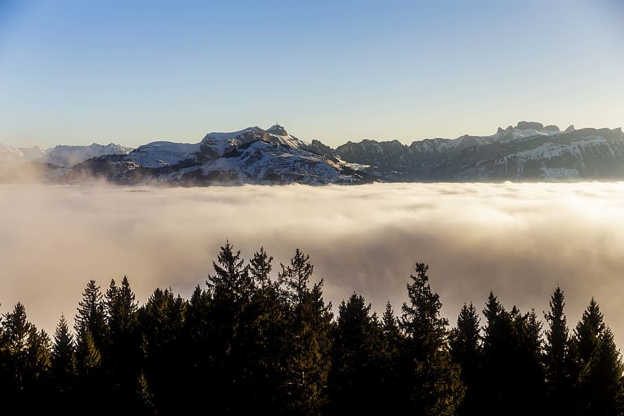 Aerial Photography Of Clouds, dawn, fog, forest, landscape, mountain HD wallpaper