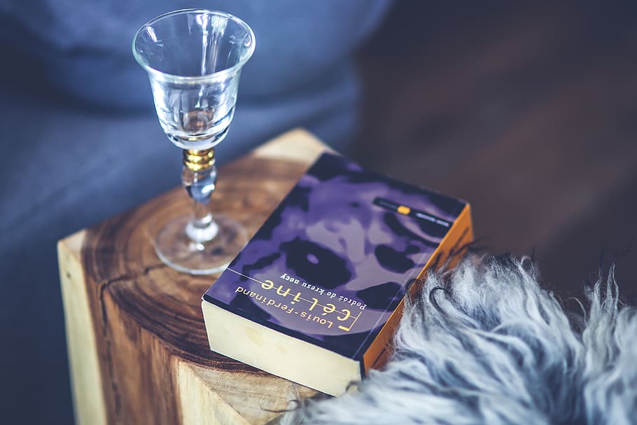 Wine glass & book, blur, christmas, drink, elegant, food, glass items HD wallpaper