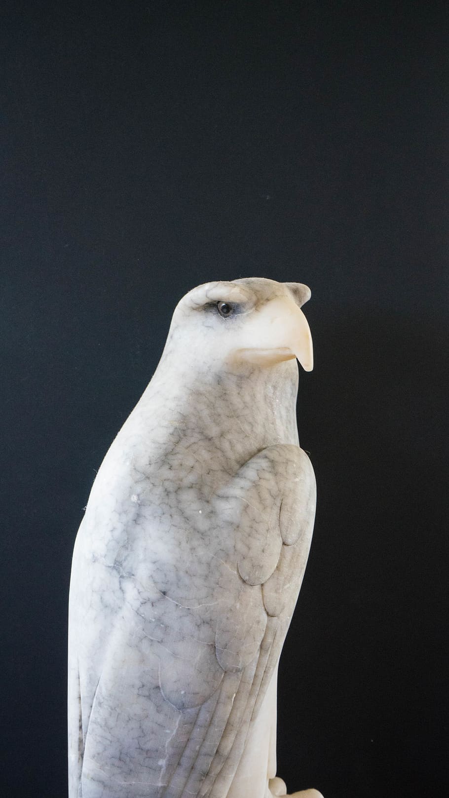 eagle, marble, bird, statue, ornament, stone, animal themes HD wallpaper
