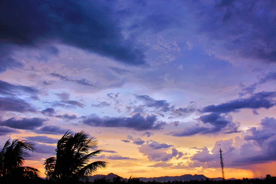 Photo of Cirrus Clouds during Golden Hour, coconut trees, dark HD wallpaper