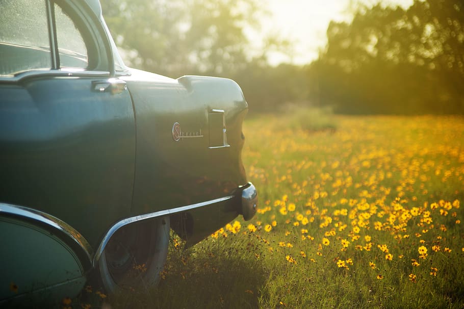 Selective Focus Photography of Vehicle on Flower Field, blossom HD wallpaper