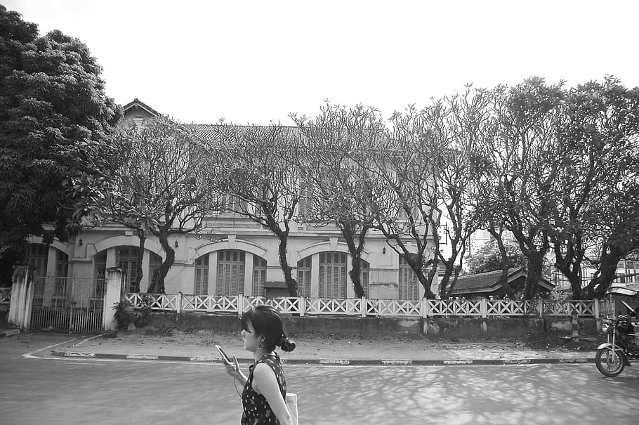 walk, women, iphone, tree, architecture, real people, built structure HD wallpaper