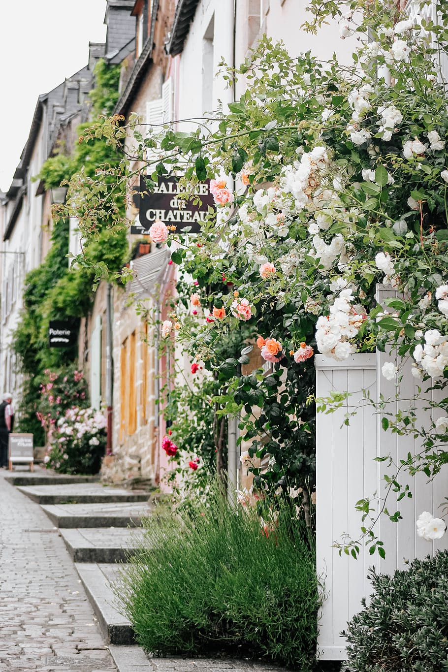 white petaled flowers, plant, architecture, building exterior HD wallpaper